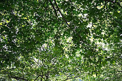 《Odin: Valhalla Rising》夏季大型版本更新正式上线