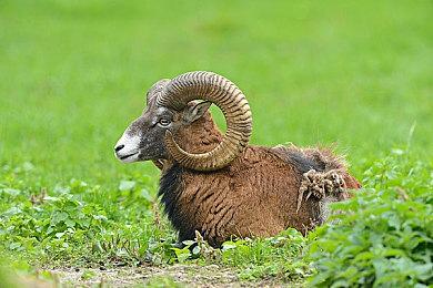 致敬魂斗罗《地狱之魂》即将更新双人合作玩法